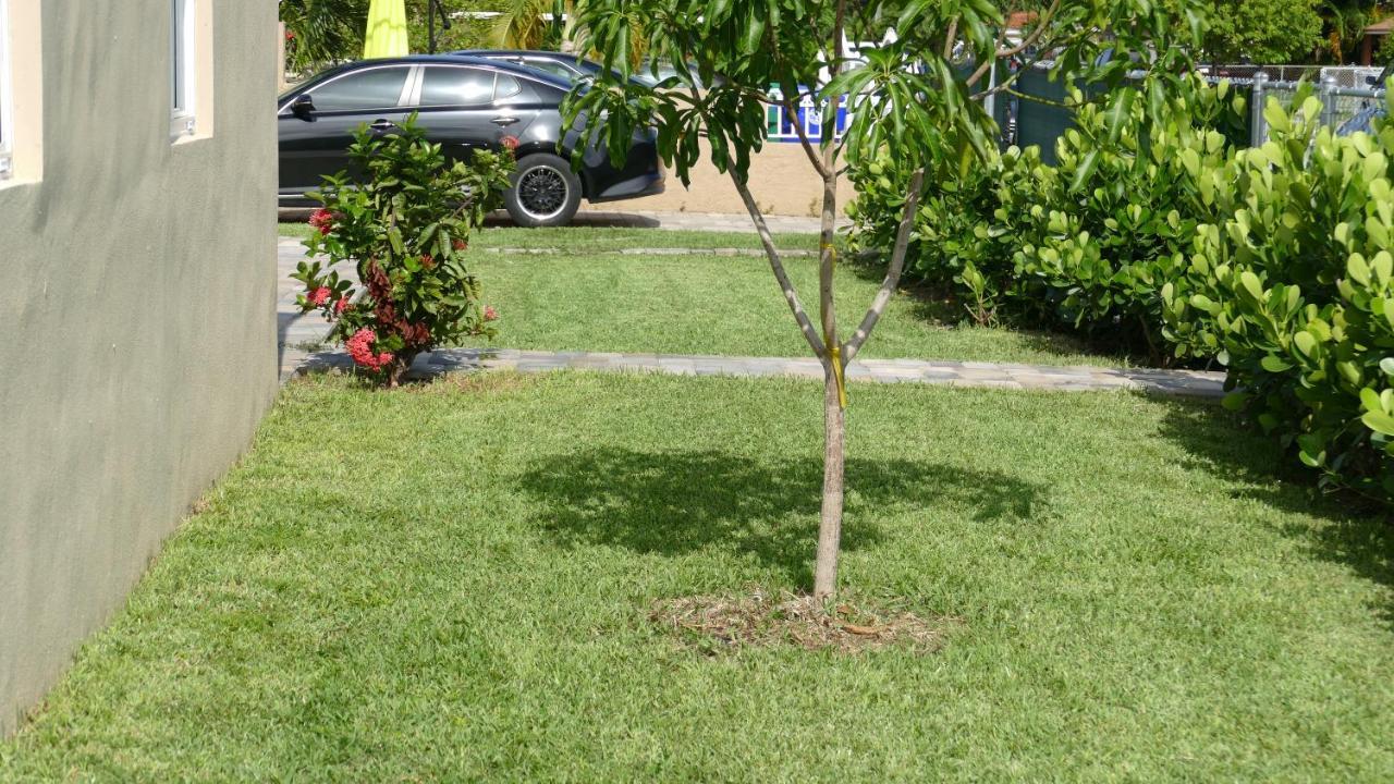 فيلا Miami-Airport Oasis Vip House المظهر الخارجي الصورة